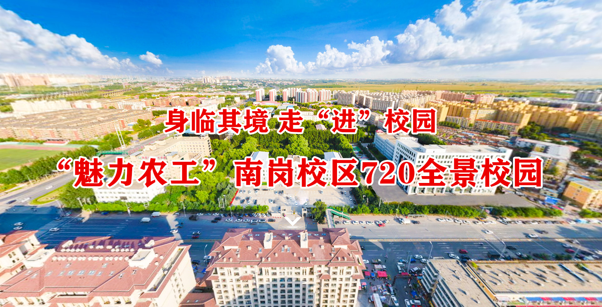 青島拓普恩